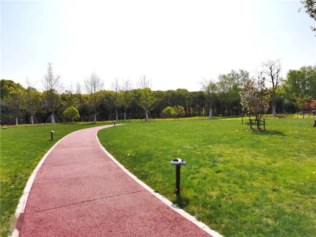 生態(tài)健身步道